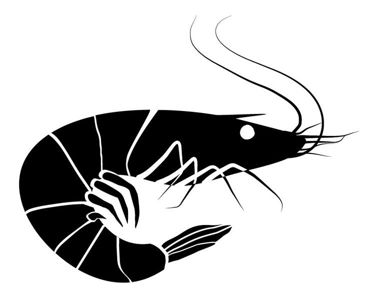Garnele (Seafood)